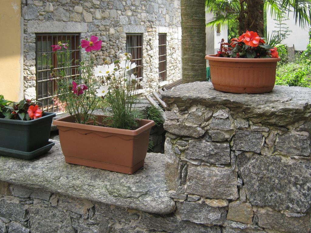 B&B il Pisolo Di Meina Esterno foto